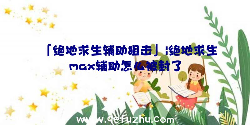 「绝地求生辅助狙击」|绝地求生max辅助怎么被封了